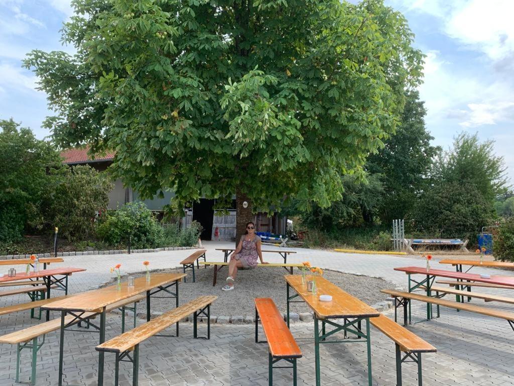 Reitschule Kronwitter Mainbernheim Zewnętrze zdjęcie